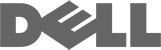 Dell technology partner